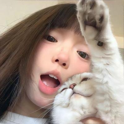 母牛